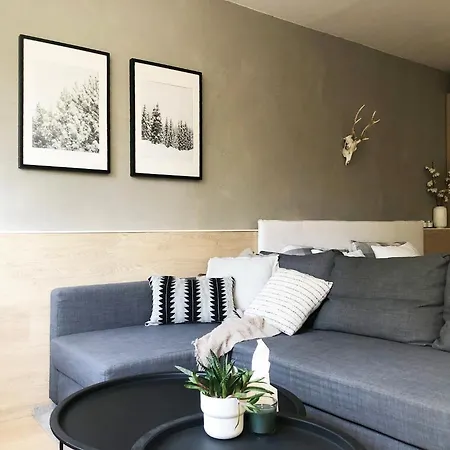 Appartement Horský Byt 1+1 V železné Rudě Železná Ruda